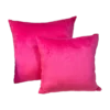 Luxurious Velour Pillow in pink colour(Set of 2)