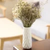 Luxury Vase Interior Accessories Bisque White Ceramic