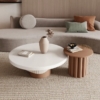 Japanese and Scandinavian design coffee table set